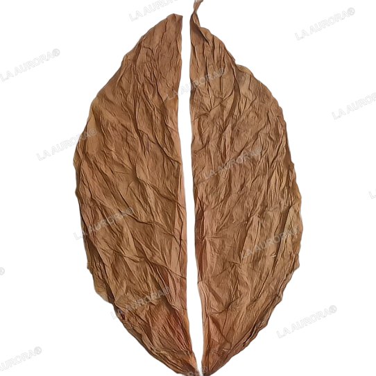 Hoja de capa despalillada en dos mitades limpias